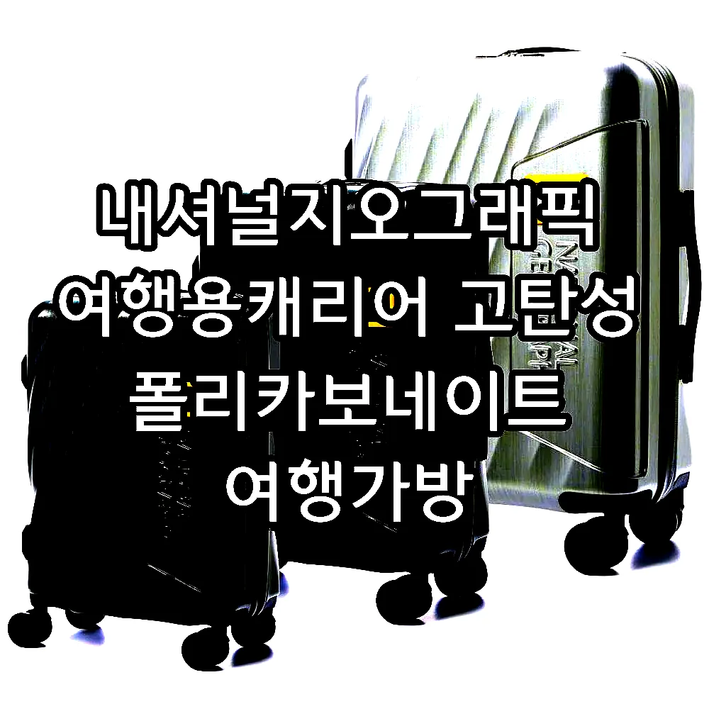 내셔널지오그래픽 여행용캐리어 고탄성 폴리카보네이트 여행가방 55cm(20인치), 차콜 이미지 1