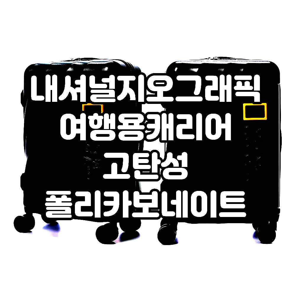 내셔널지오그래픽 여행용캐리어 고탄성 폴리카보네이트 여행가방 77cm(28인치), 그레이 이미지 2