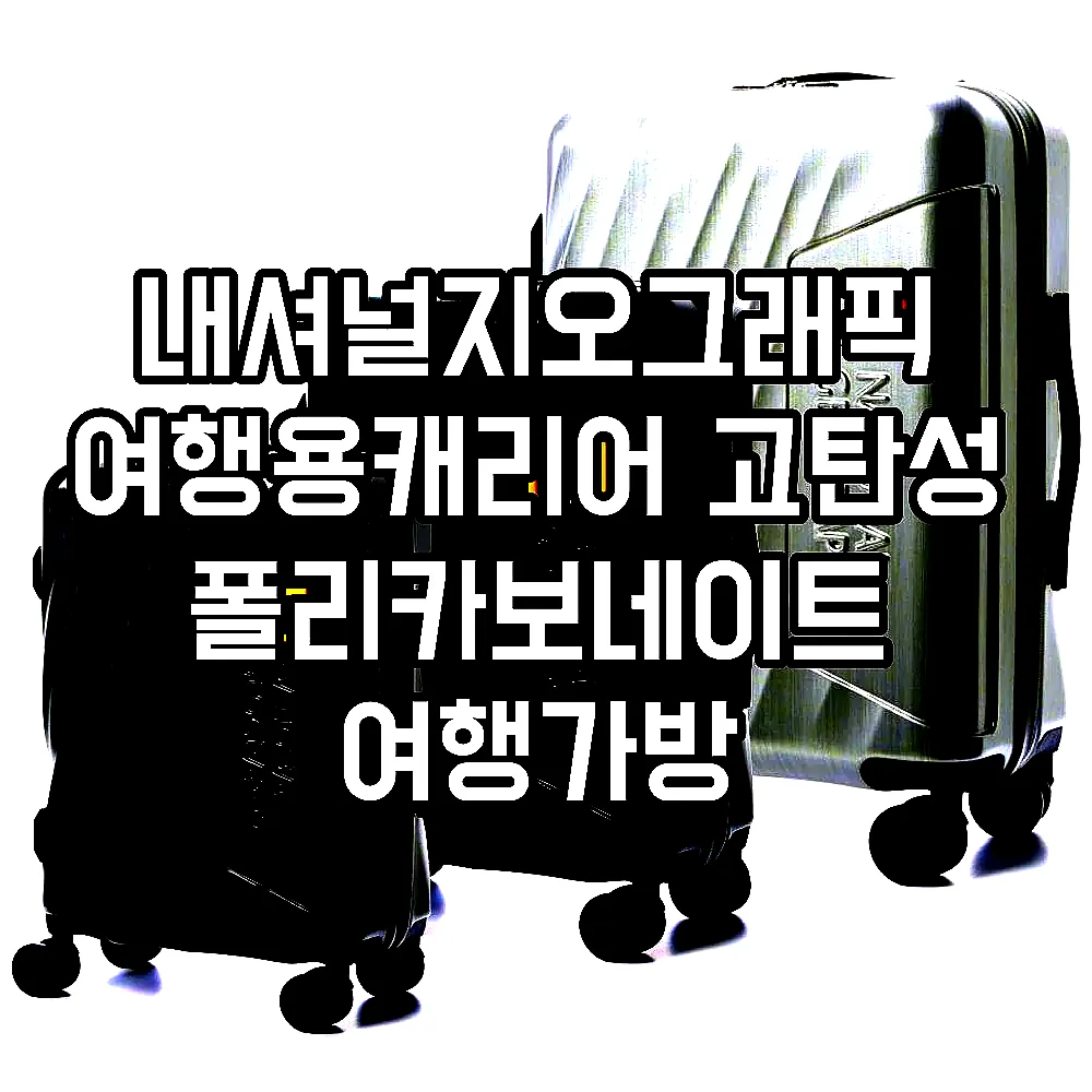 내셔널지오그래픽 여행용캐리어 고탄성 폴리카보네이트 여행가방 77cm(28인치), 그레이 이미지 1